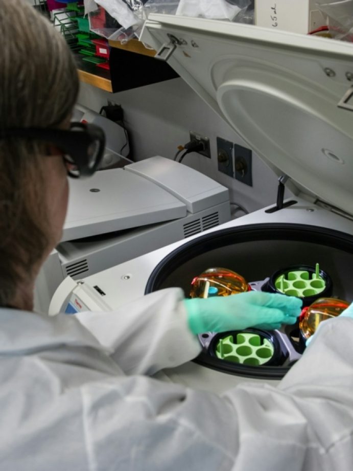 cdc-fPb-zDtydiU-unsplash-950x632